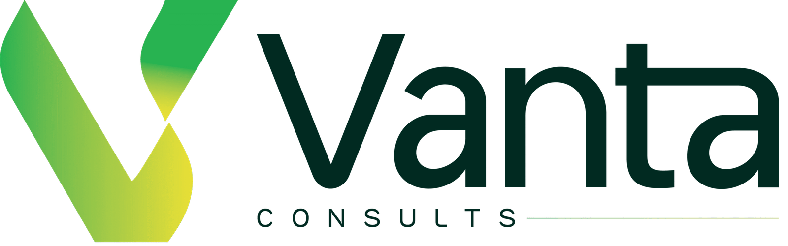 vantaconsults.com